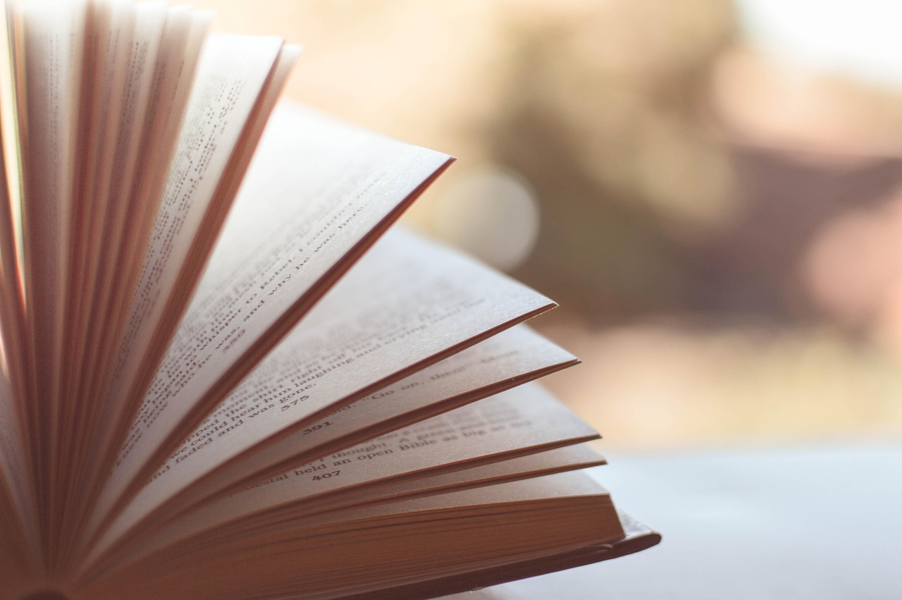 Book, pages, chapters — Hidden Object and Education Games