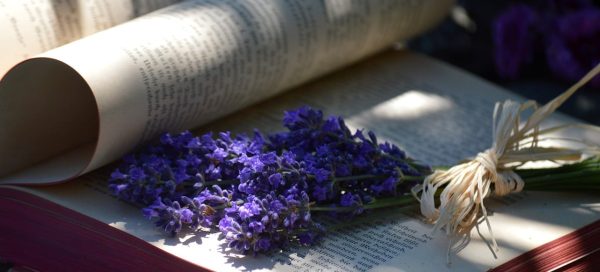 Mental Health Ongoing Education Benefits