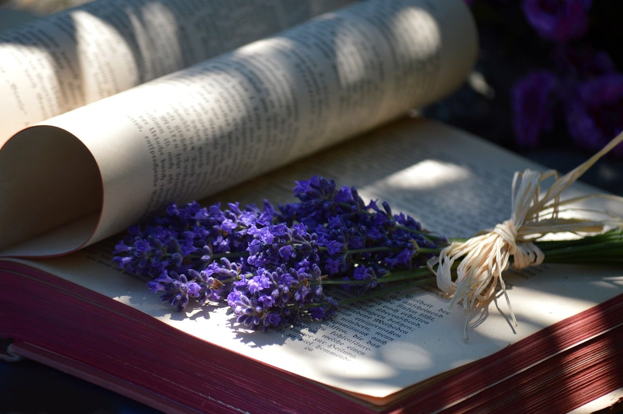 Book, lavender, book pages — Mental Health Ongoing Education Benefits