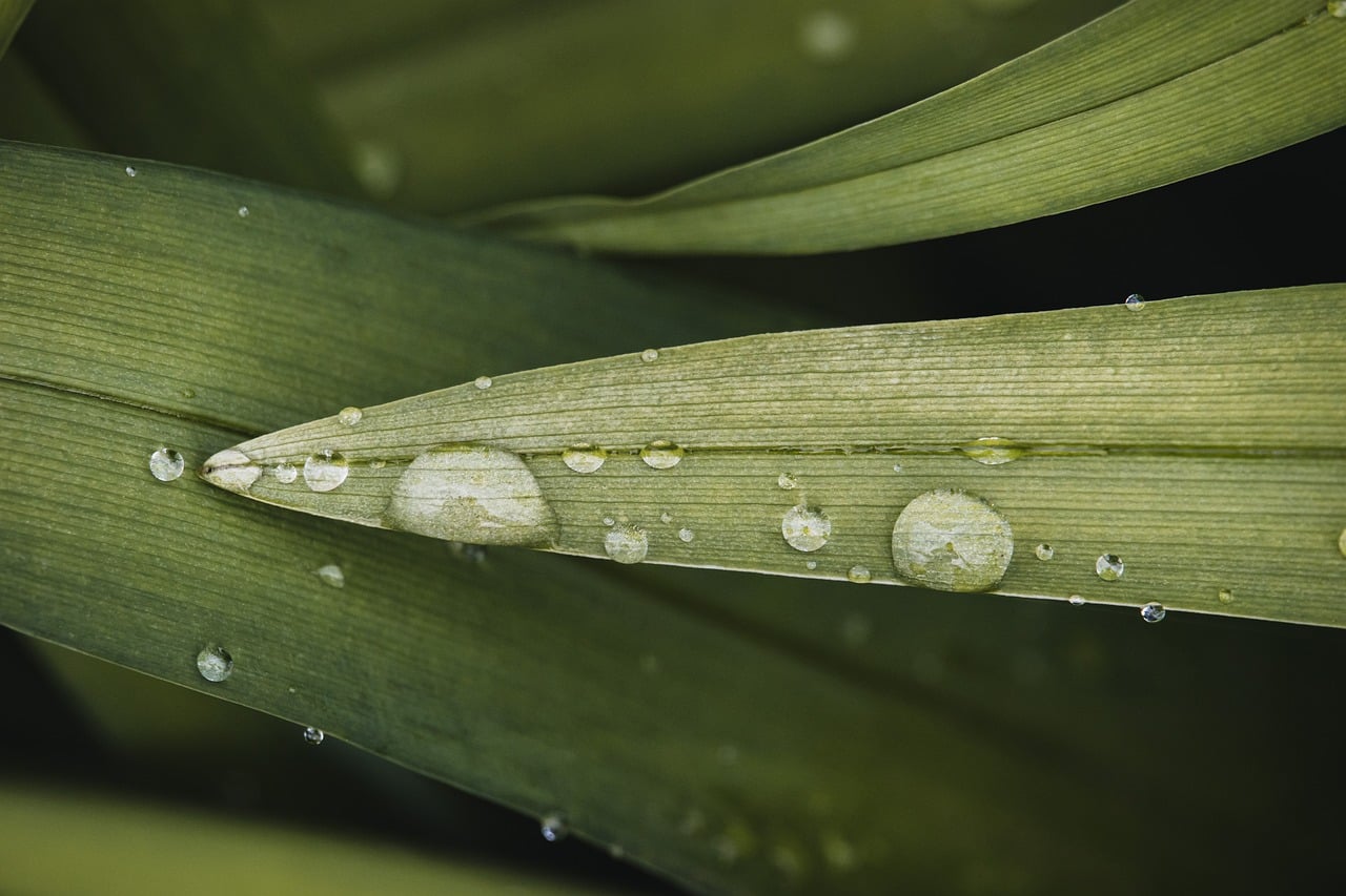 Water drops, drop, 4k wallpaper 1920x1080 — Signing up to Optometry School - What's Involved?