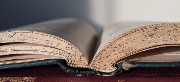 What is the Time It Takes to Learn English?