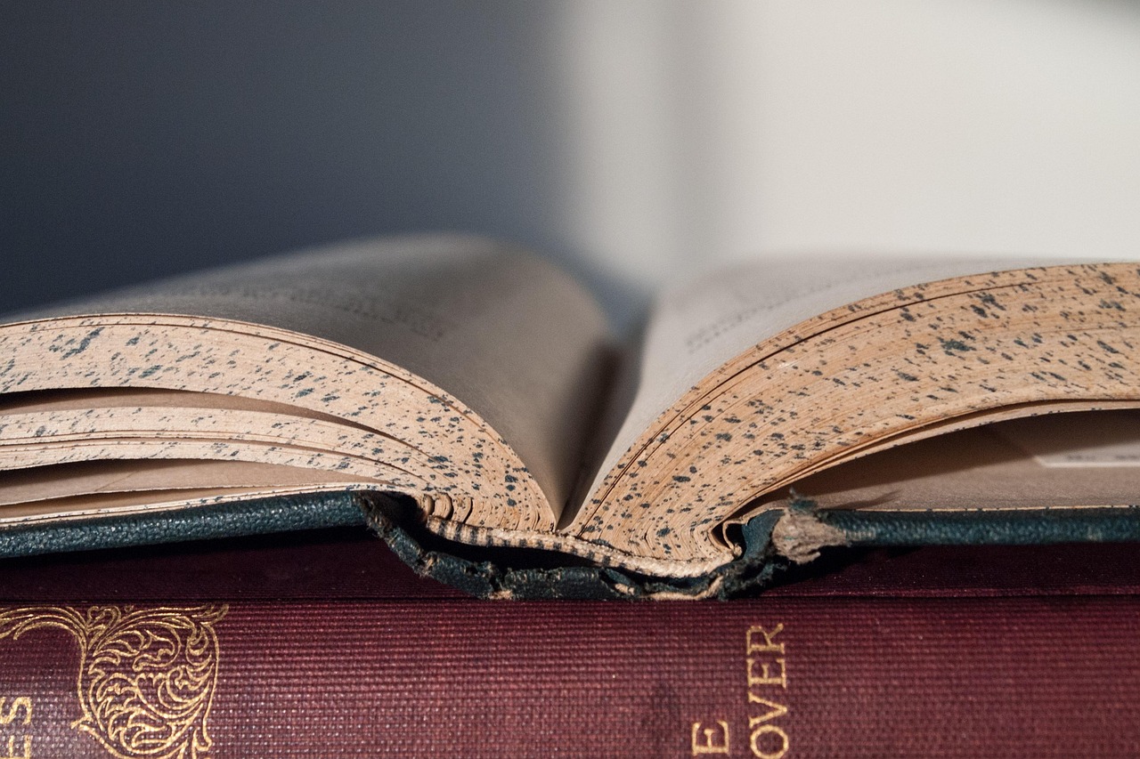 Book, windows wallpaper, reading — What is the Time It Takes to Learn English?